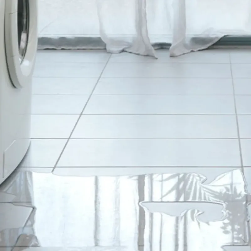 Appliance Leak Cleanup in Morgan County, GA