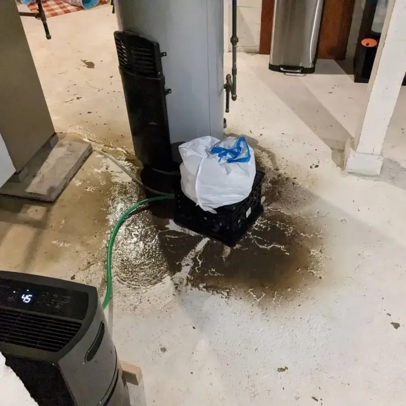Sewage Backup Cleanup Service in Morgan County, GA